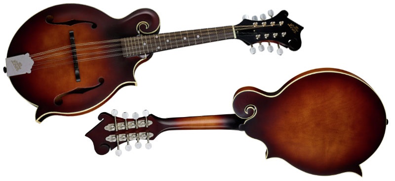 The Loar LM 310F Review front and back