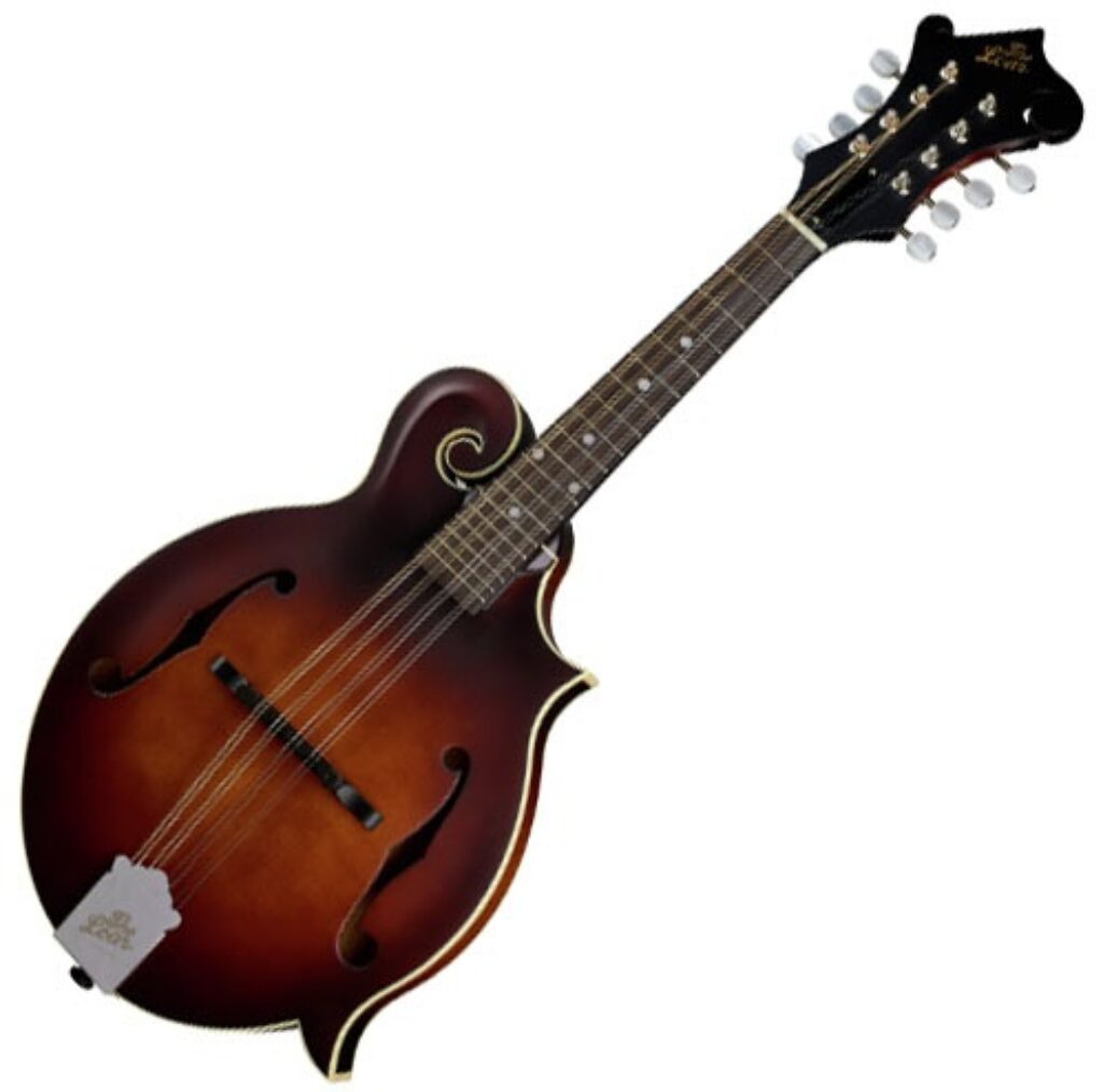 The Loar LM 310F Review Amazing FStyle Mandolin!