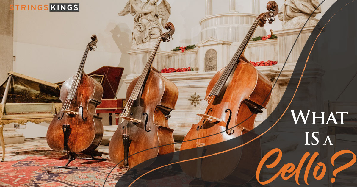 What Is A Cello? Facts, History, And Usage Of Violoncello!