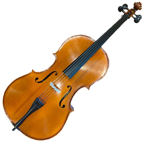 DZ Strad Cello Model 101 - The Instrument