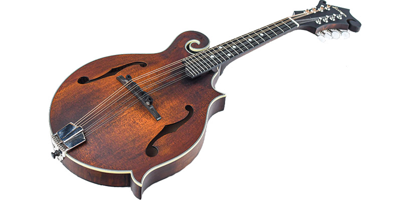 Eastman MD315 Mandolin - The instrument different angle