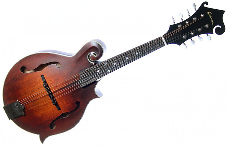Eastman MD315 Mandolin - The instrument