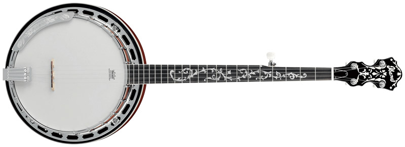 Ibanez B200 Banjo - The Instrument