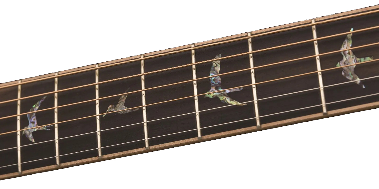 PRS's fingerboard brand's bird inlays