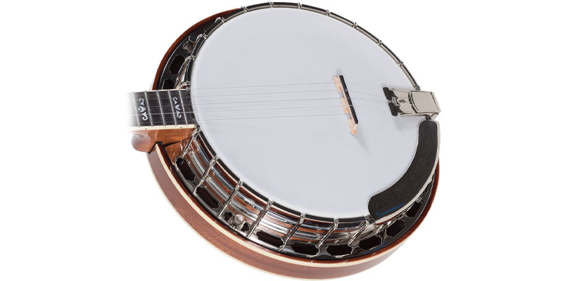 Recording King RK-75 Elite Banjo - Sound box