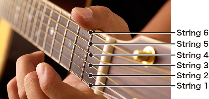 The Impact of String Numbers stringed instruments