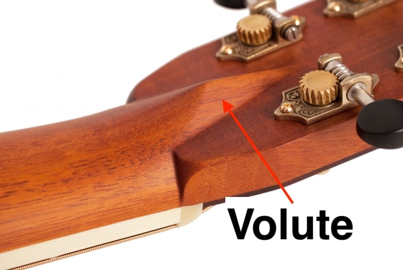 Guitar-Neck-Volute