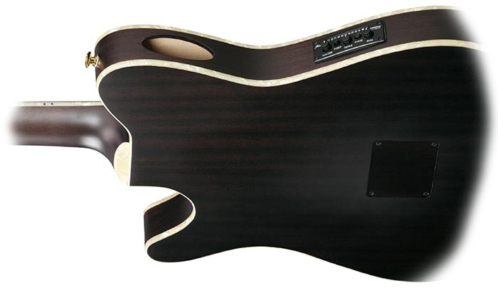 Ibanez TOD10N Review details back