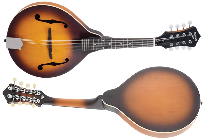 Recording King RAM-3-TS Mandolin Build up and appearance