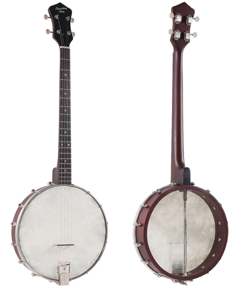 Recording King RKT-05 Banjo Review - Picture in the box