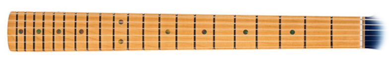 guitar fretboard - Guitar fretboard types