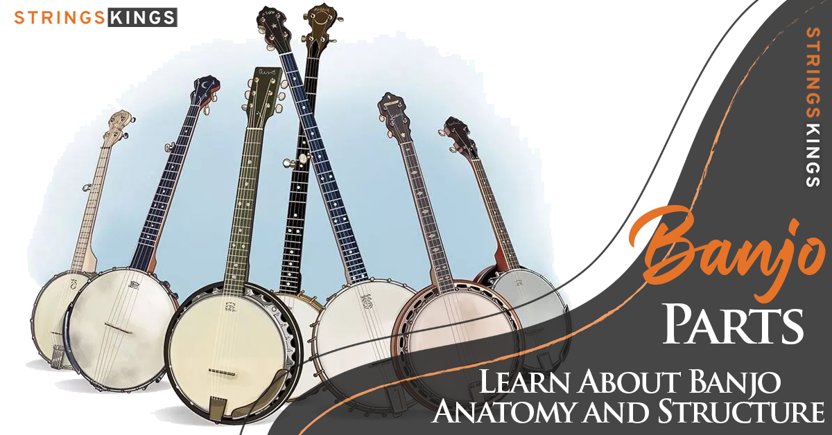 All Mandolin Parts – Anatomy And Structure – 2023 Guide!