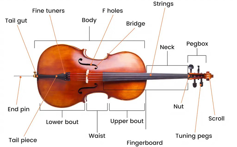 Cello parts - Cello Body