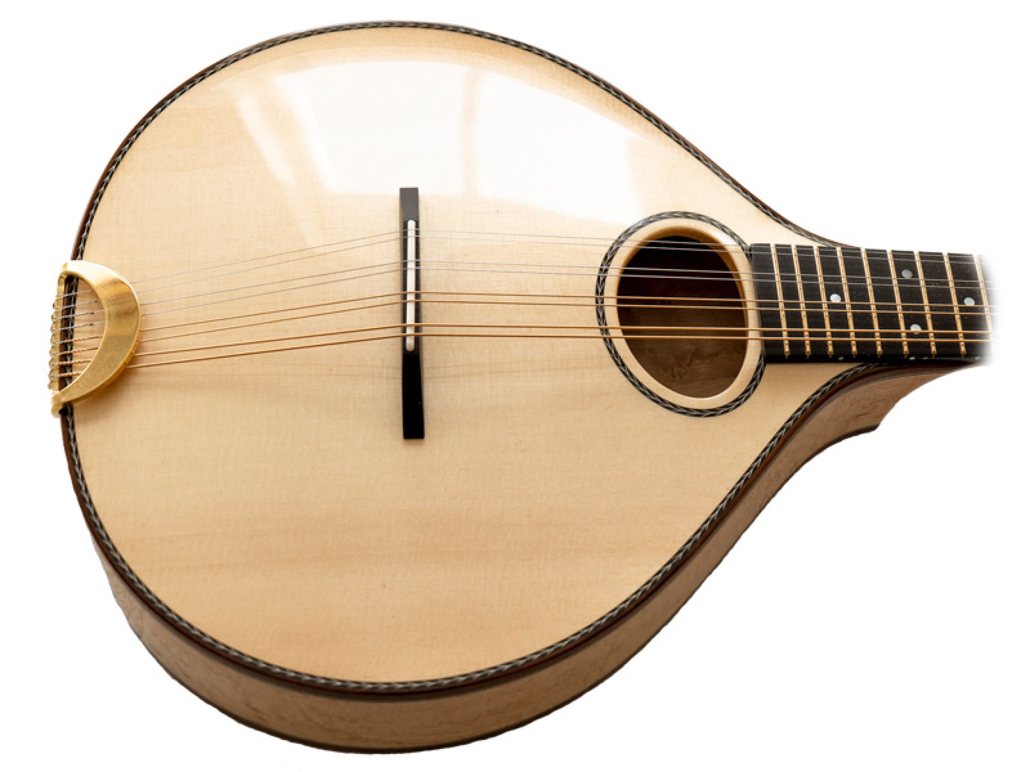 All Mandolin Parts Anatomy And Structure 2023 Guide!