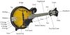Mandolin Components All Mandolin Parts - Anatomy And Structure - 2023 Guide!